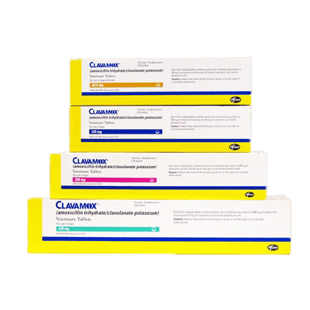 Clavamox (Amoxicillin Trihydrate/Clavulanate Potassium)
