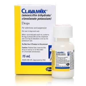 Clavamox Drops (Amoxicillin Trihydrate/Clavulanate Potassium)