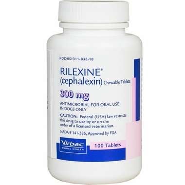 Rilexine (Cephalexin)