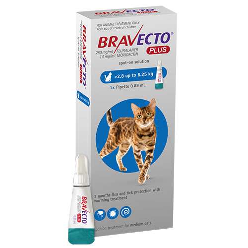 Bravecto Plus Feline (Blue) Single Dose