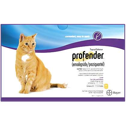 Profender Topical Dewormer for Large Cats 11-17.6 lbs (Emodepside/Praziquantel)