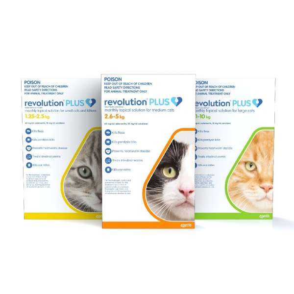 Revolution Plus Feline (Orange 5.6-11 lbs)