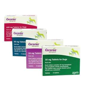 Cerenia (Maropitant Citrate)