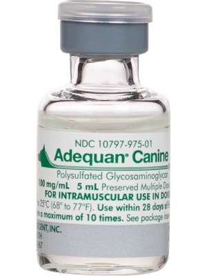 Adequan (Canine)