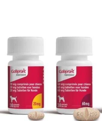 Galliprant (Grapiprant)