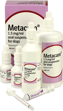 Metacam (Meloxicam)