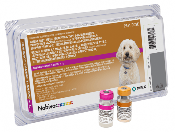 Nobivac Canine 1-DAPPv+L4 Merck