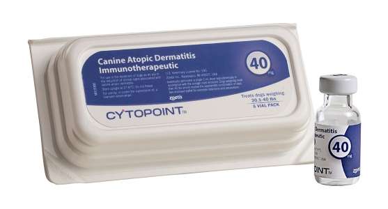 cytopoint immunotherapy