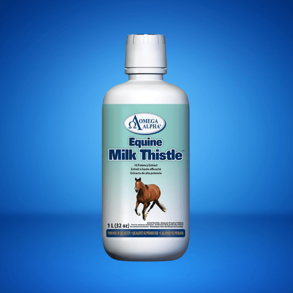 Milk Thistle