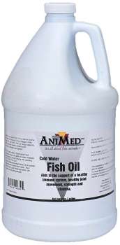 Fish Oil-CLOSE OUT PRICE