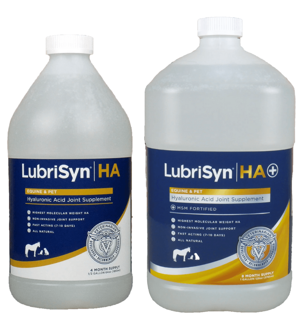 Lubrisyn EQ Oral HA