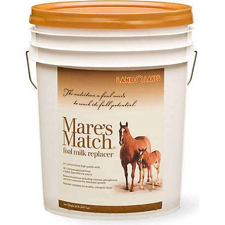 Mare's Match Milk Replacer