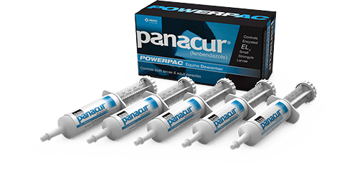 Panacur Power Pack (Fenbendazole)