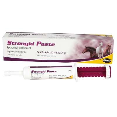 Strongid (Pyrantel Pamoate)