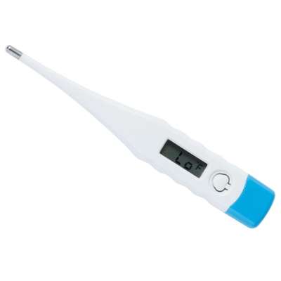 Thermometer Digital