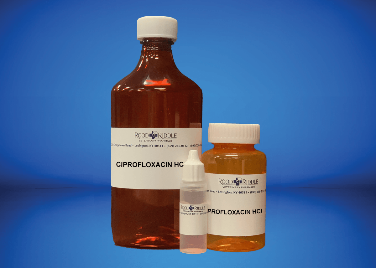 Ciprofloxacin HCl