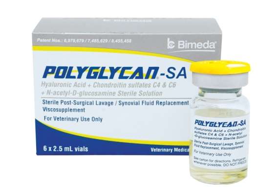 Polyglycan (HA/Chondroitin Sulfates C4 & C6/N-Acteyl-D-Glucosamine)