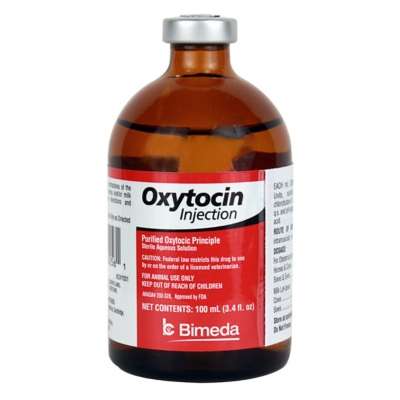 Oxytocin