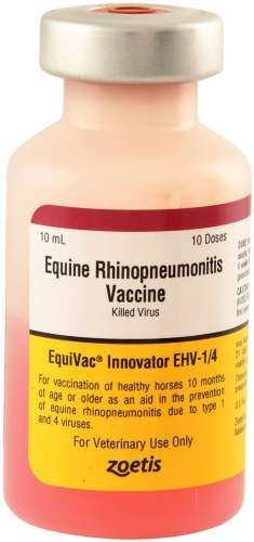 Equivac EHV 1/4 Vaccine (Rhino-killed) Zoetis