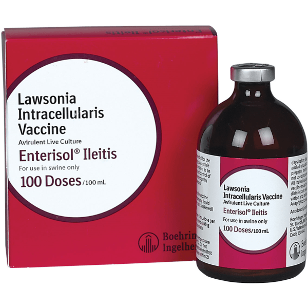 Lawsonia Intracellularis Vaccine BI