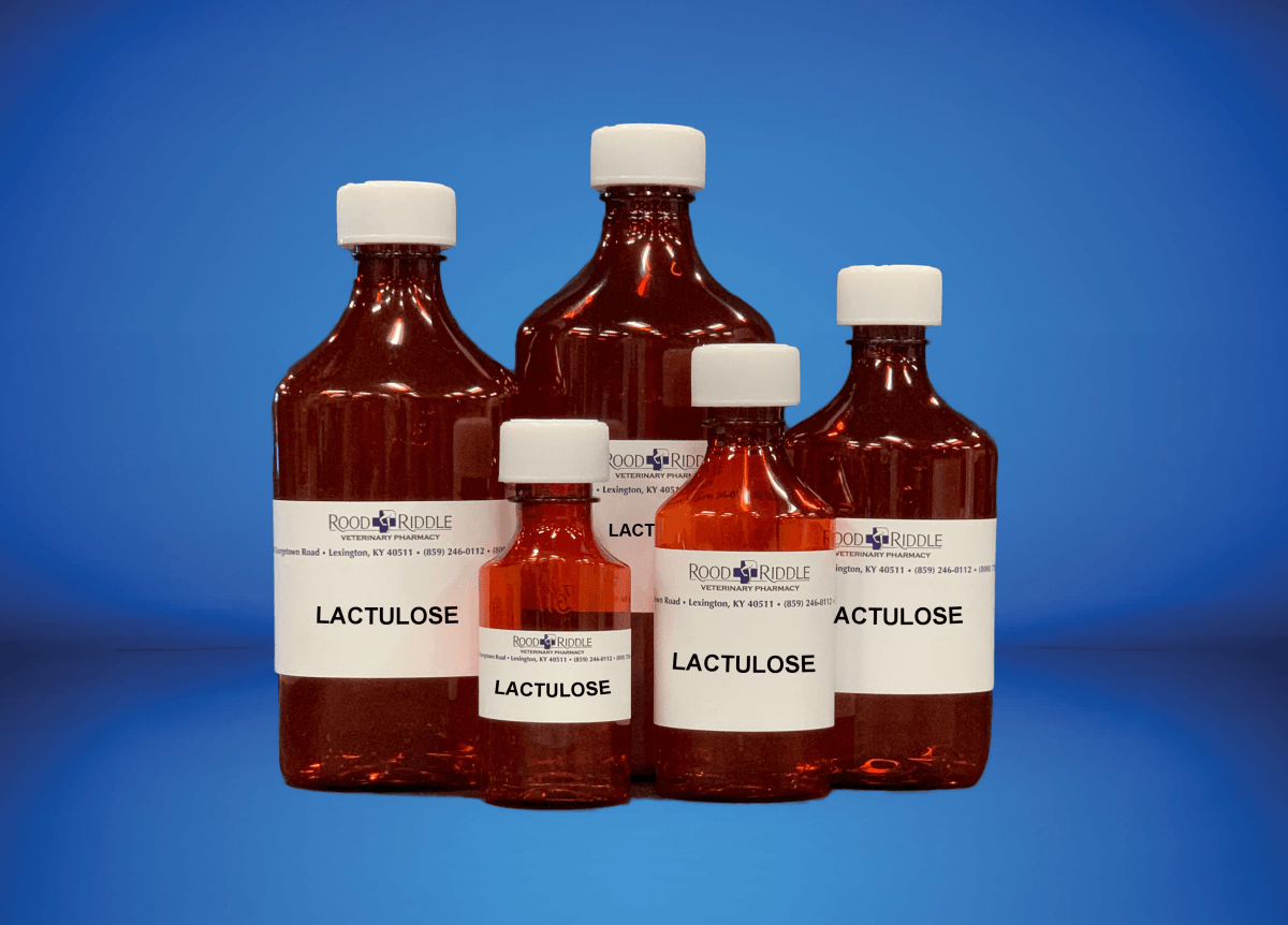 Lactulose Solution (Cephulac Generic) Laxative for Pets PetCareRx