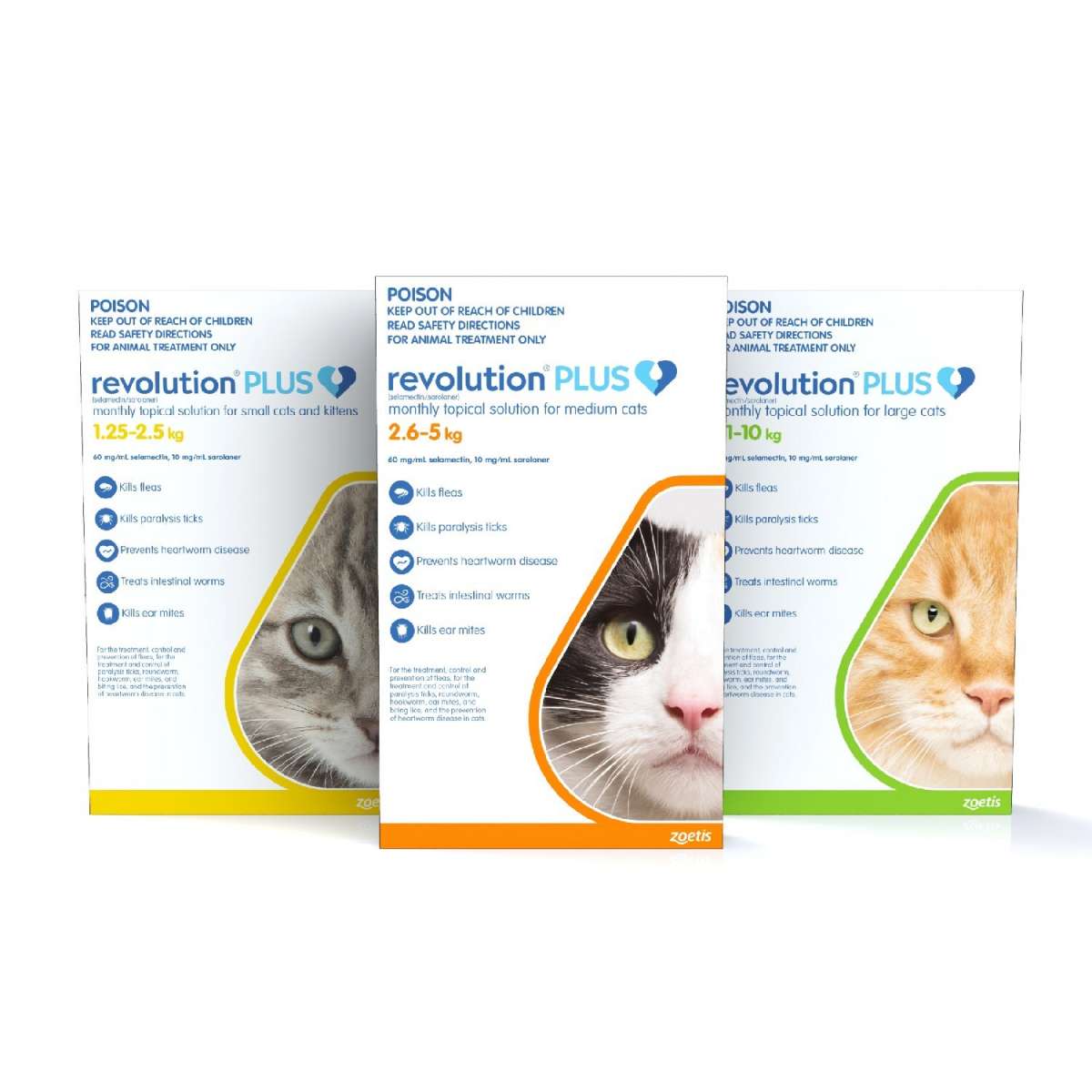Revolution plus cat orange new arrivals