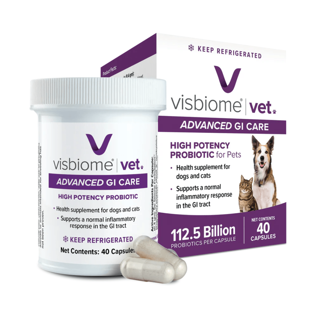 Visbiome Vet Probiotic