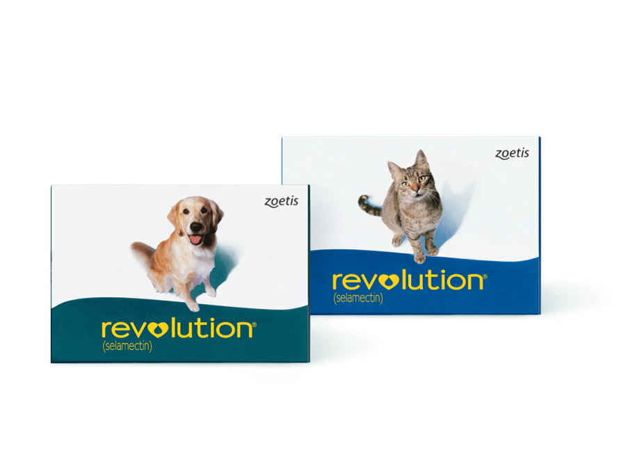 Revolution Canine (Lavender 5-10 lbs)